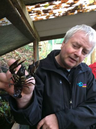 Ballinderry Fish Hatchery